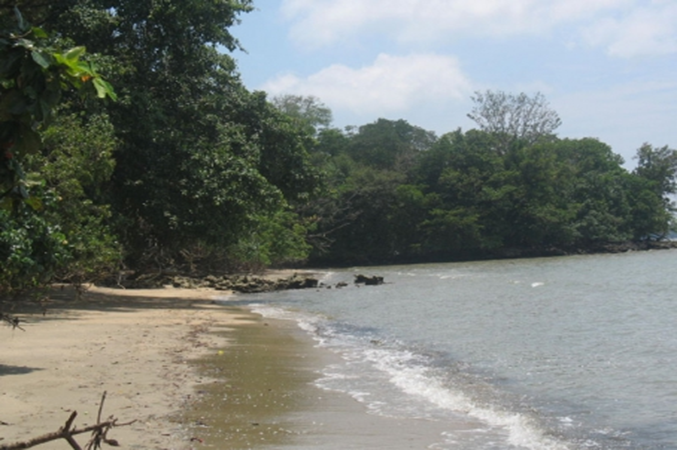 Pantai Muara Bendera